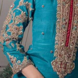Imaania | beautifully made in a red and green combo