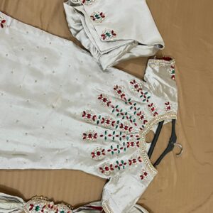 Ajooba | on ice grey with red and green dimond overload